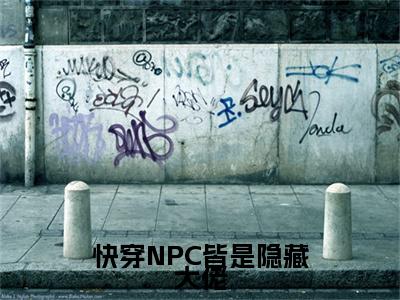 快穿NPC皆是隐藏大佬小说全文免费阅读-（苏已）快穿NPC皆是隐藏大佬精选小说大结局阅读
