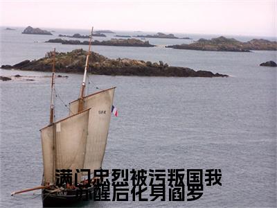 满门忠烈被污叛国我苏醒后化身阎罗小说精彩章节今日阅读更新-（洛炎小说）免费阅读小说全文