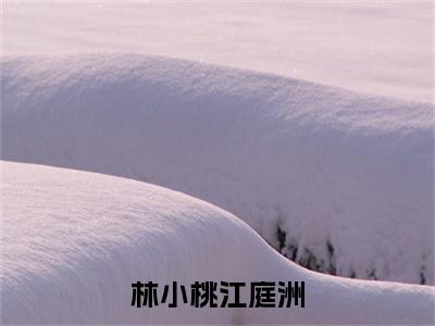 林小桃江庭洲小说（江庭洲林小桃）全文免费阅读_林小桃江庭洲小说（江庭洲林小桃）最新章节列表笔趣阁小说