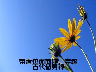 韩瑾修林安戈（带着位面商城，穿越古代做男神）在哪免费看-小说（韩瑾修林安戈）带着位面商城，穿越古代做男神全文完整版免费阅读