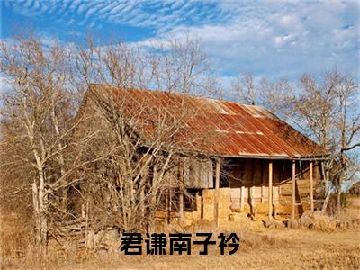 君谦南子衿全文免费阅读大结局君谦南子衿最新章节列表
