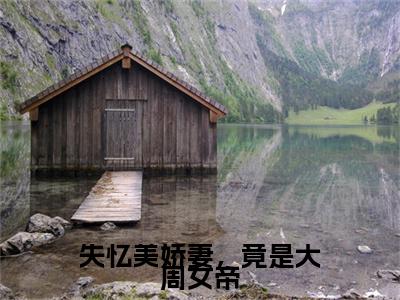 （失忆美娇妻，竟是大周女帝）完整版小说阅读，秦稷小说精彩免费试读