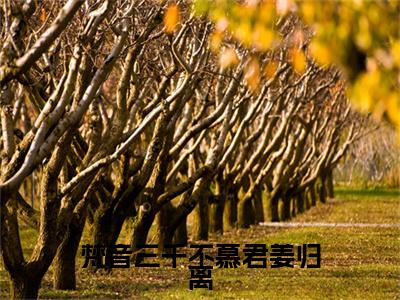 傅北澈姜归离小说叫什么名字（梵音三千不慕君姜归离）完整版大结局-傅北澈姜归离小说在线阅读