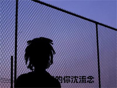 【新书】致不爱我的你沈流念全文全章节免费阅读-沈流念小说免费阅读无弹窗最新章节列表