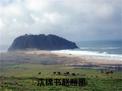 沈锦书赵桓禹（大结局小说全集完整版）赵桓禹沈锦书小说_沈锦书赵桓禹全文阅读笔趣阁