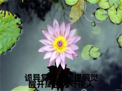 诡异复苏系统提前觉醒开局创办守夜人（林铮）免费阅读无弹窗-小说诡异复苏系统提前觉醒开局创办守夜人大结局全文免费阅读