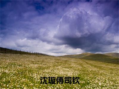 （傅司钦沈璇免费+后续）沈璇傅司钦（傅司钦沈璇）最新章节阅读-热点小说榜单推荐沈璇傅司钦