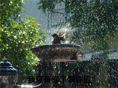 （甘棠许应）全文免费阅读无弹窗大结局_（我只有你了啊许应全文免费）甘棠许应小说最新章节列表_笔趣阁