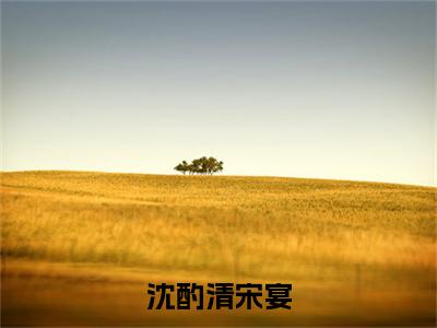 沈酌清宋宴（宋宴沈酌清）精彩热门小说-沈酌清宋宴全章节免费阅读