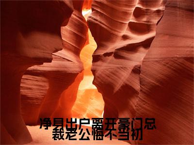 萧逸（净身出户离开豪门总裁老公悔不当初全文在线阅读）-萧逸（净身出户离开豪门总裁老公悔不当初）免费阅读