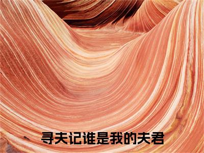 寻夫记谁是我的夫君（姜晨汐靳江陵）全文免费阅读无弹窗大结局_（寻夫记谁是我的夫君免费阅读全文大结局）最新章节列表