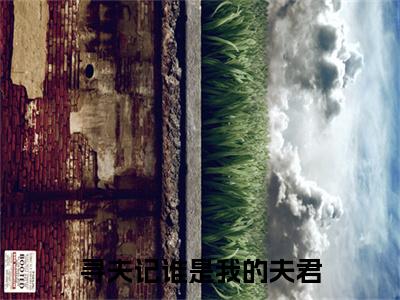 寻夫记谁是我的夫君（姜晨汐靳江陵小说）全文免费阅读无弹窗大结局_姜晨汐靳江陵完整版小说阅读