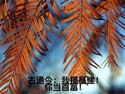 古通今：我搞基建！你当首富！小说全文免费阅读无弹窗大结局_（姜南星顾司靳免费阅读无弹窗）最新章节列表_笔趣阁