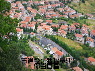 姜南星顾司靳全文免费阅读无弹窗大结局_（古通今：我搞基建！你当首富！阅读无弹窗）古通今：我搞基建！你当首富！最新章节列表