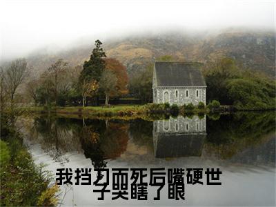 我挡刀而死后嘴硬世子哭瞎了眼（宋晚意江长逸）小说全文大结局-（宋晚意江长逸）全章节完整版在线阅读