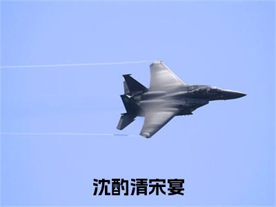 宋宴沈酌清（沈酌清宋宴）全文免费阅读无弹窗大结局_沈酌清宋宴（宋宴沈酌清）最新章节免费阅读
