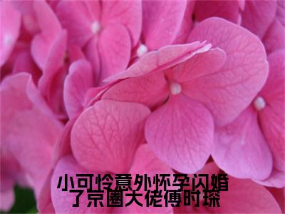 （免费）+（番外）主角是林妍傅时琛的小说-小可怜意外怀孕闪婚了京圈大佬傅时琛全文无弹窗免费阅读