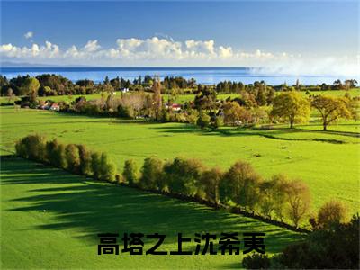 高塔之上沈希夷（梁隽臣沈希夷）热门免费小说-梁隽臣沈希夷（高塔之上沈希夷）精彩小说全文赏析