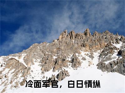 小说冷面军官，白日情纵（浔苑小说免费阅读）完结阅读_冷面军官，白日情纵全文免费阅读最新章节大结局