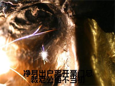 净身出户离开豪门总裁老公悔不当初（萧逸）全文免费阅读无弹窗_净身出户离开豪门总裁老公悔不当初最新小说_笔趣阁