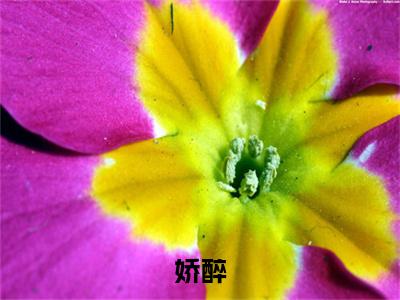 温幼柠小说在线阅读娇醉无广告小说免费在线阅读（免费）+（结局）