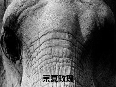 季弦闻祁小说免费阅读全文（季弦闻祁）全文免费阅读无弹窗大结局_京夏玫瑰最新章节列表
