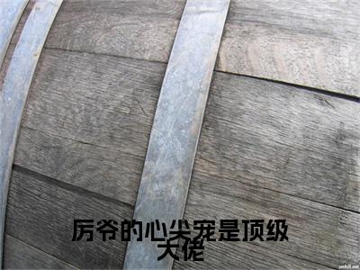 （厉默寒洛凌）厉爷的心尖宠是顶级大佬小说全文免费_（厉默寒洛凌）最新章节列表笔趣阁