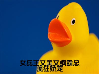 女兵王又美又飒霸总疯狂娇宠小说大结局免费阅读，李俊昊肖冰抖音新上热文分享