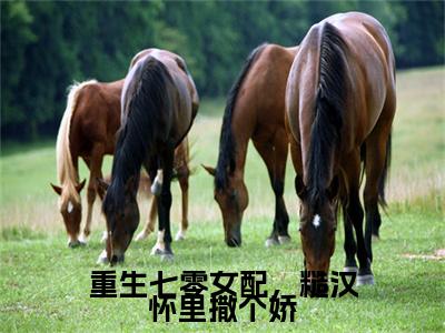 顾然（重生七零女配，糙汉怀里撒个娇）未删减-顾然完结版阅读地址