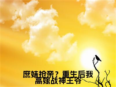庶妹抢亲？重生后我高嫁战神王爷（墨严晨许流光）小说精彩免费内容_庶妹抢亲？重生后我高嫁战神王爷（墨严晨许流光）最新章节全文阅读大结局