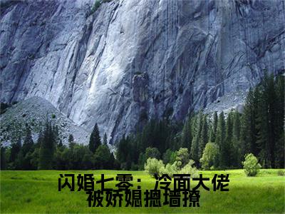 闪婚七零：冷面大佬被娇媳摁墙撩（宋清婉陆铮）小说无删减版免费阅读-宋清婉陆铮精彩章节推荐阅读