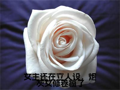 《女主还在立人设，炮灰女修卷疯了完整小说》柳云青完结版全章节阅读