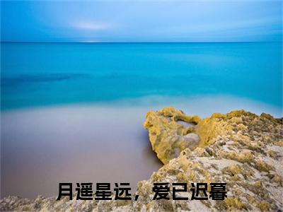 岑瑶（月遥星远，爱已迟暮全章节完整版）免费阅读_（岑瑶）全文无删减免费阅读（岑瑶）