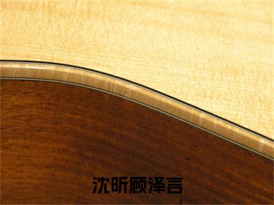 沈昕顾泽言（顾泽言沈昕）全文免费阅读无弹窗大结局_（顾泽言沈昕）的小说（沈昕顾泽言）最新章节列表