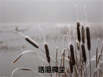 浩海微尘小说免费阅读章蔚岚免费阅读无弹窗小说