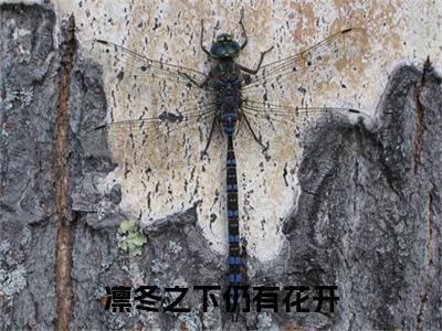 周凛冬孟清清（凛冬之下仍有花开）全文免费阅读无弹窗大结局_（凛冬之下仍有花开小说免费阅读）_笔趣阁