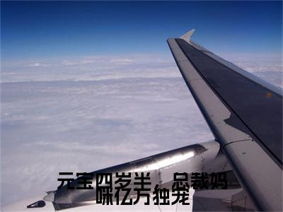 元宝陆婉令在哪免费看元宝陆婉令结局是什么（元宝四岁半，总裁妈咪亿万独宠）小说无弹窗免费阅读