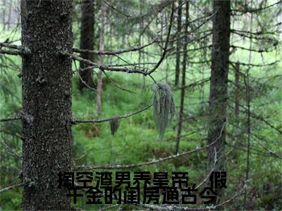 掏空渣男养皇帝，假千金的闺房通古今（秋爽）全文免费阅读无弹窗大结局_掏空渣男养皇帝，假千金的闺房通古今最新章节列表（秋爽）