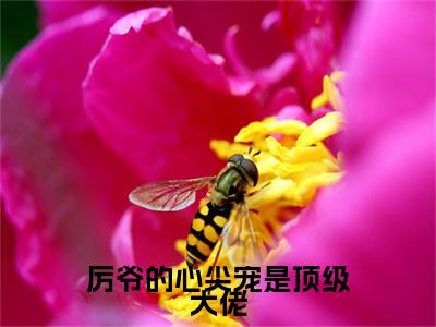 厉爷的心尖宠是顶级大佬洛凌厉默寒完整全文在线阅读洛凌厉默寒抖音热推小说全集无删减