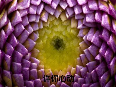 许你心动珍藏美文读物许彦廷林芯-许彦廷林芯已完结全集大结局小说许你心动