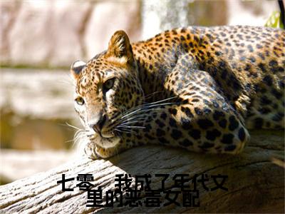 七零，我成了年代文里的恶毒女配（沈梦陆振平）全文免费阅读无弹窗大结局_七零，我成了年代文里的恶毒女配最新章节列表-笔趣阁沈梦陆振平