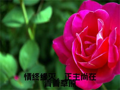 情终缘灭，正主尚在青青草原小说全文（姜安晚）精选免费小说_情终缘灭，正主尚在青青草原小说全文最新章节列表