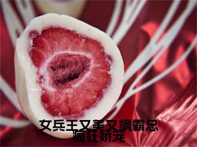 小说李俊昊肖冰（女兵王又美又飒霸总疯狂娇宠小说免费阅读）完结阅读，李俊昊肖冰在线阅读