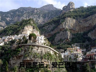 月遥星远，爱已迟暮（岑瑶）全文免费阅读无弹窗大结局_月遥星远，爱已迟暮免费阅读最新章节列表_笔趣阁（岑瑶）