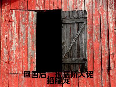 小说（回国后，被病娇大佬掐腰宠）全文免费阅读_（贝青柠陆在商）小说全文免费阅读