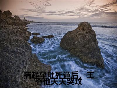 齐铭沈昭月是揣起孕肚死遁后，王爷他天天哭坟的小说_主角是齐铭沈昭月免费阅读_齐铭沈昭月小说免费阅读-笔趣阁