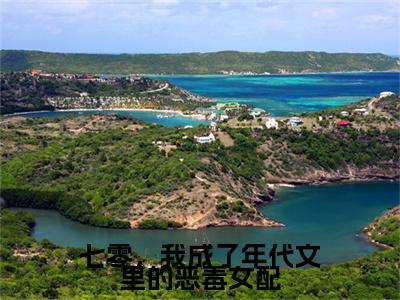 七零，我成了年代文里的恶毒女配（沈梦陆振平）无弹窗小说免费阅读_七零，我成了年代文里的恶毒女配最新章节免费阅读_笔趣阁