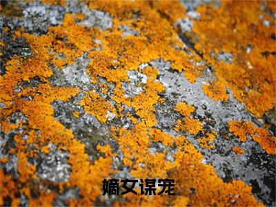 嫡女谋宠（顾清鸢江景珩）全文免费阅读大结局_（顾清鸢江景珩免费阅读）嫡女谋宠全文在线完本阅读