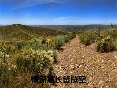 沈卿林砚辞（情深意长皆成空小说）全文免费阅读无弹窗大结局_（沈卿林砚辞）情深意长皆成空小说最新章节列表