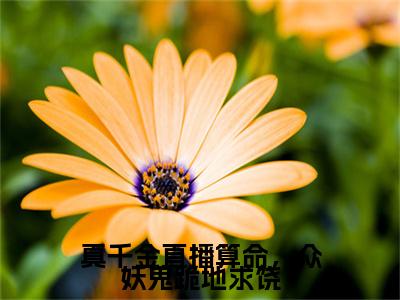 真千金直播算命，众妖鬼跪地求饶（云浮笙）全文免费阅读无弹窗大结局_真千金直播算命，众妖鬼跪地求饶全文免费阅读无弹窗最新章节列表